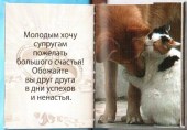 Совет 1